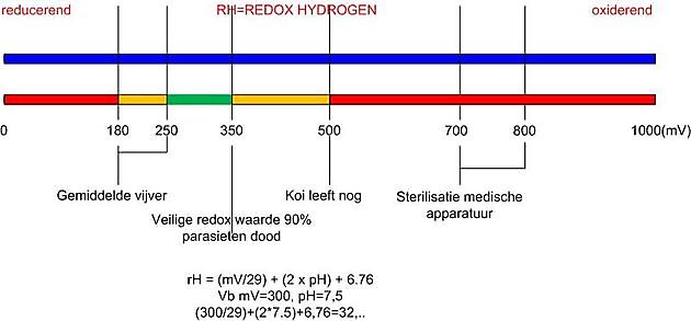 ORP wat is het en wat kan ik er mee? Kiëta Koi Veendam