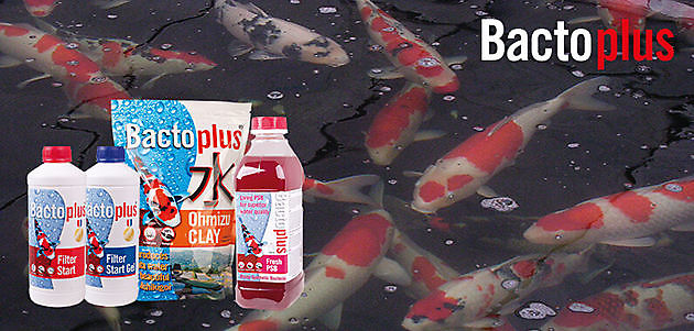Bactoplus