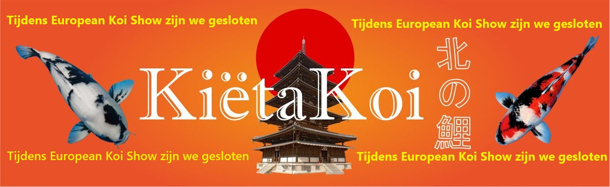  - Kiëta Koi Veendam