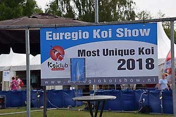 Euregio Koi Show 2018 Kiëta Koi Veendam
