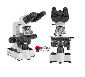 Microscoop Bino Researcher 40 x-1000x Kiëta Koi Veendam